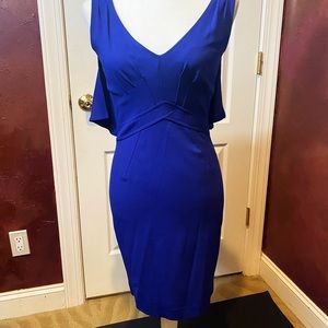 NWT Zac Posen Amethyst Dress Gorgeous Back Design
